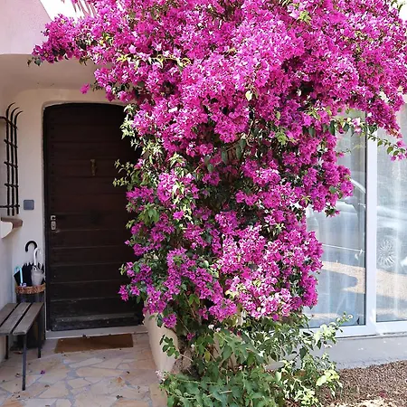 Luma, 3 Avec Piscine Chauffee *